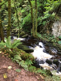 2018-09-18 15-48-24 Blarney Castle.jpg
